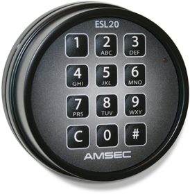 Amsec ESL20 Black Electronic Safe Retrofit Kit