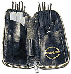 PRO-LOK 20Piece Pick Set Black